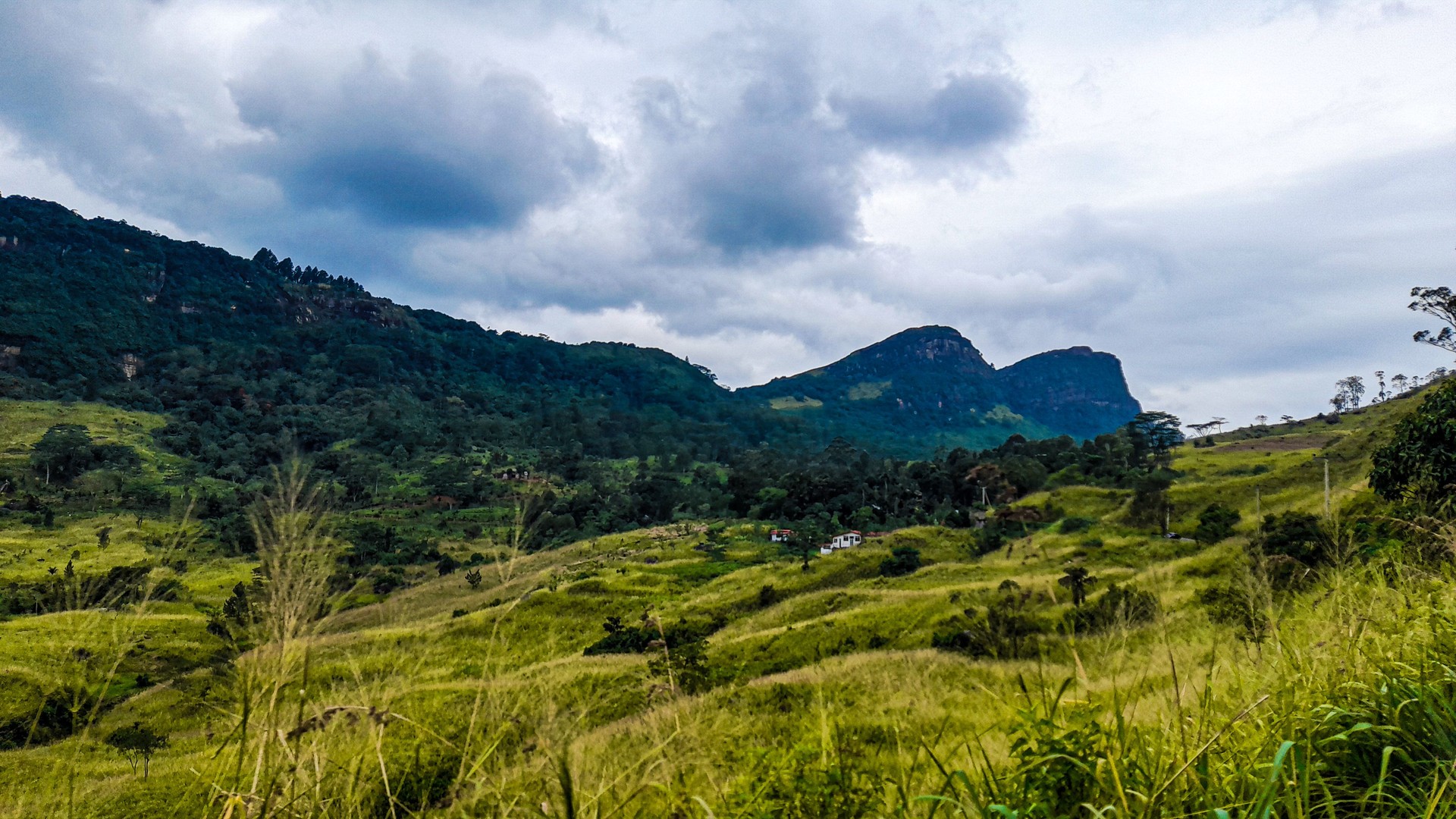 Knuckles mountain range