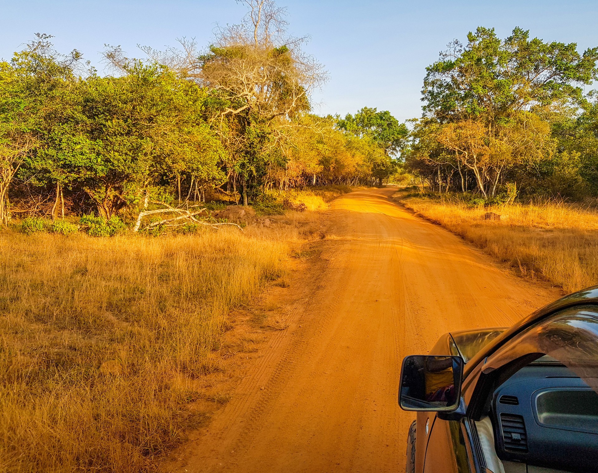 Safari in Wilpattu National Park, Sri Lanka