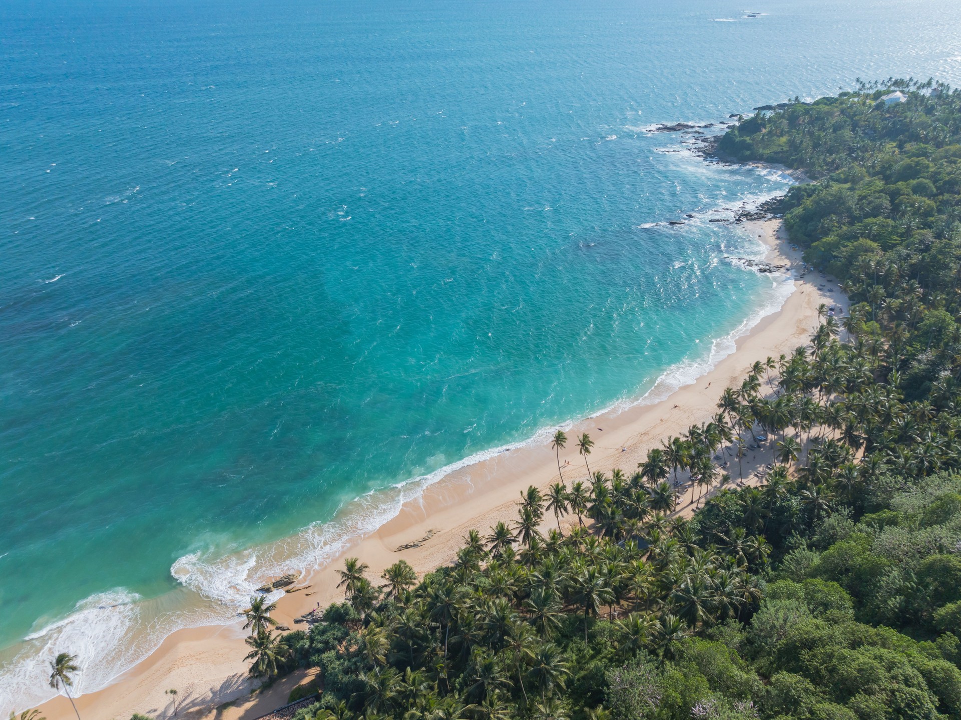 Aerial view of sea, jungle and beach