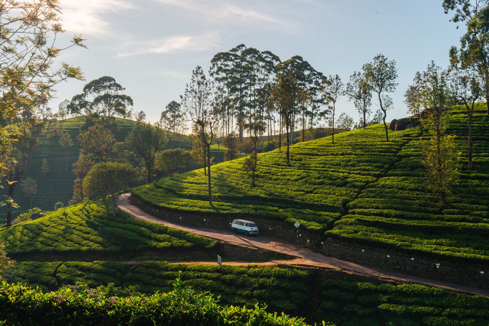 Mini bus on tea plantations in Sri Lanka