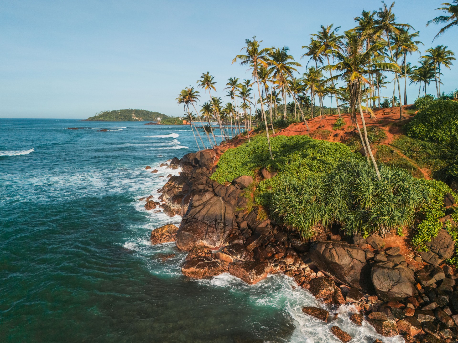Aerial view of coconut grove on the cliff above the ocean