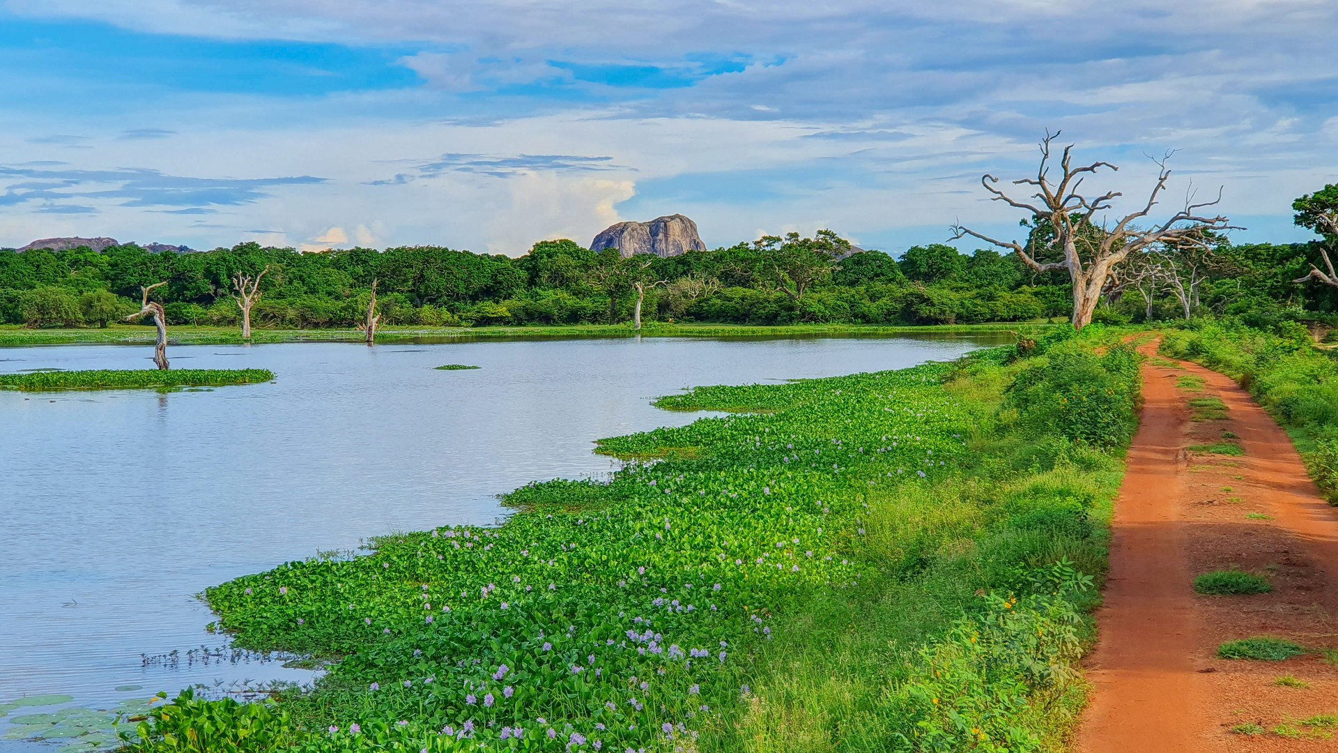 Yala, Sri Lanka: A scenic landscape